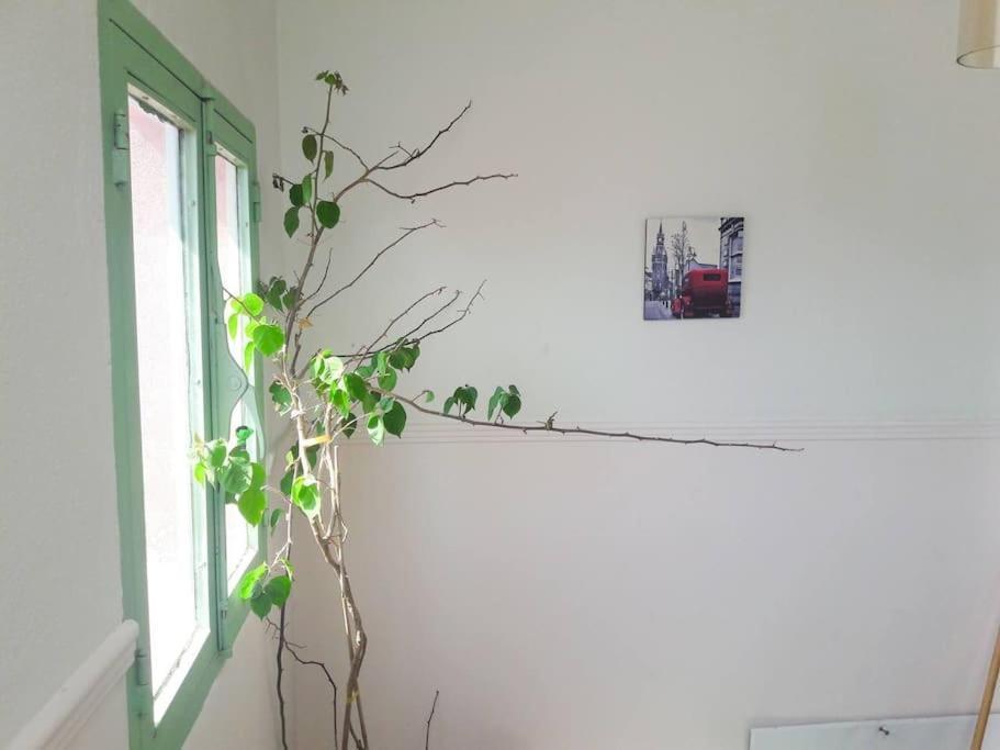 Spacious In Old Town - Private Parking * Thessaloniki